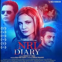 NRI Diary movie poster