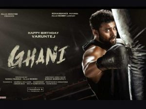 Ghani telugu movie