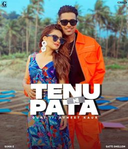 Tenu Ni Pata